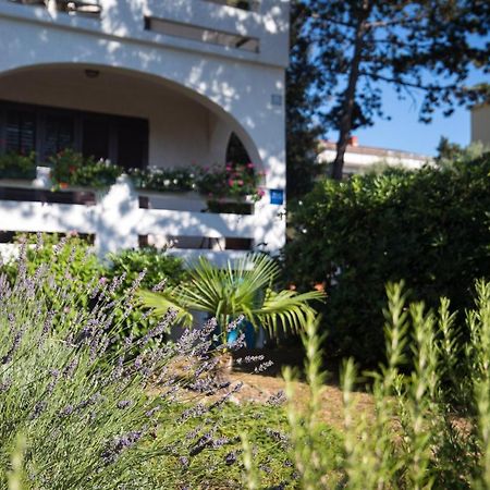 Apartmani Anita Punat Exterior foto